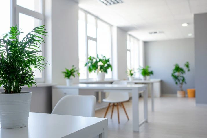 commercial cleaning services fortlauderdale